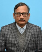       Dr. Subrata Basu Ray
